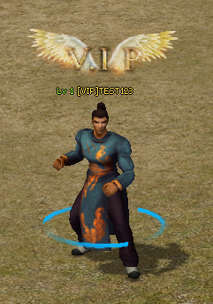 VIP Metin2