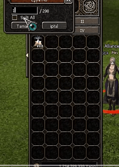 Split system